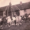 Maypole Green 1953